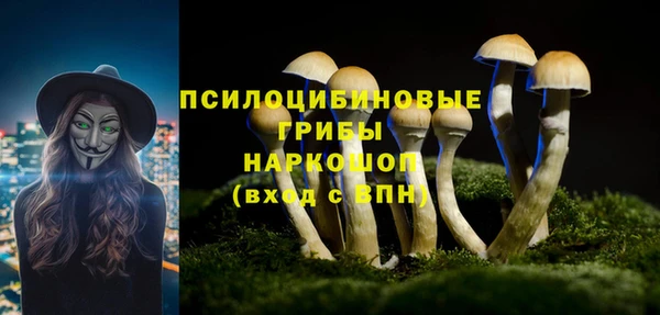 гидропоника Богданович