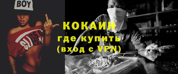 дмт Богородицк