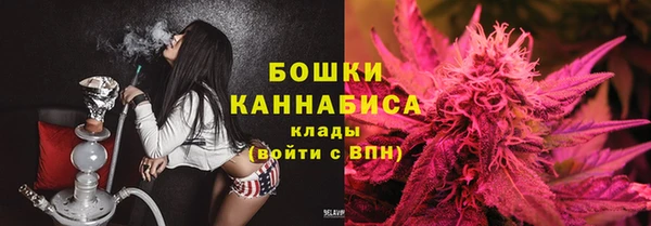 дмт Богородицк