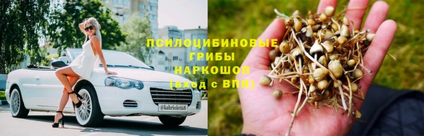 дмт Богородицк
