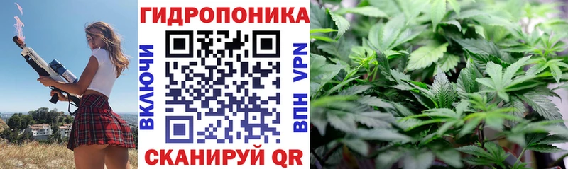 Купить  Наволоки  Марихуана семена 